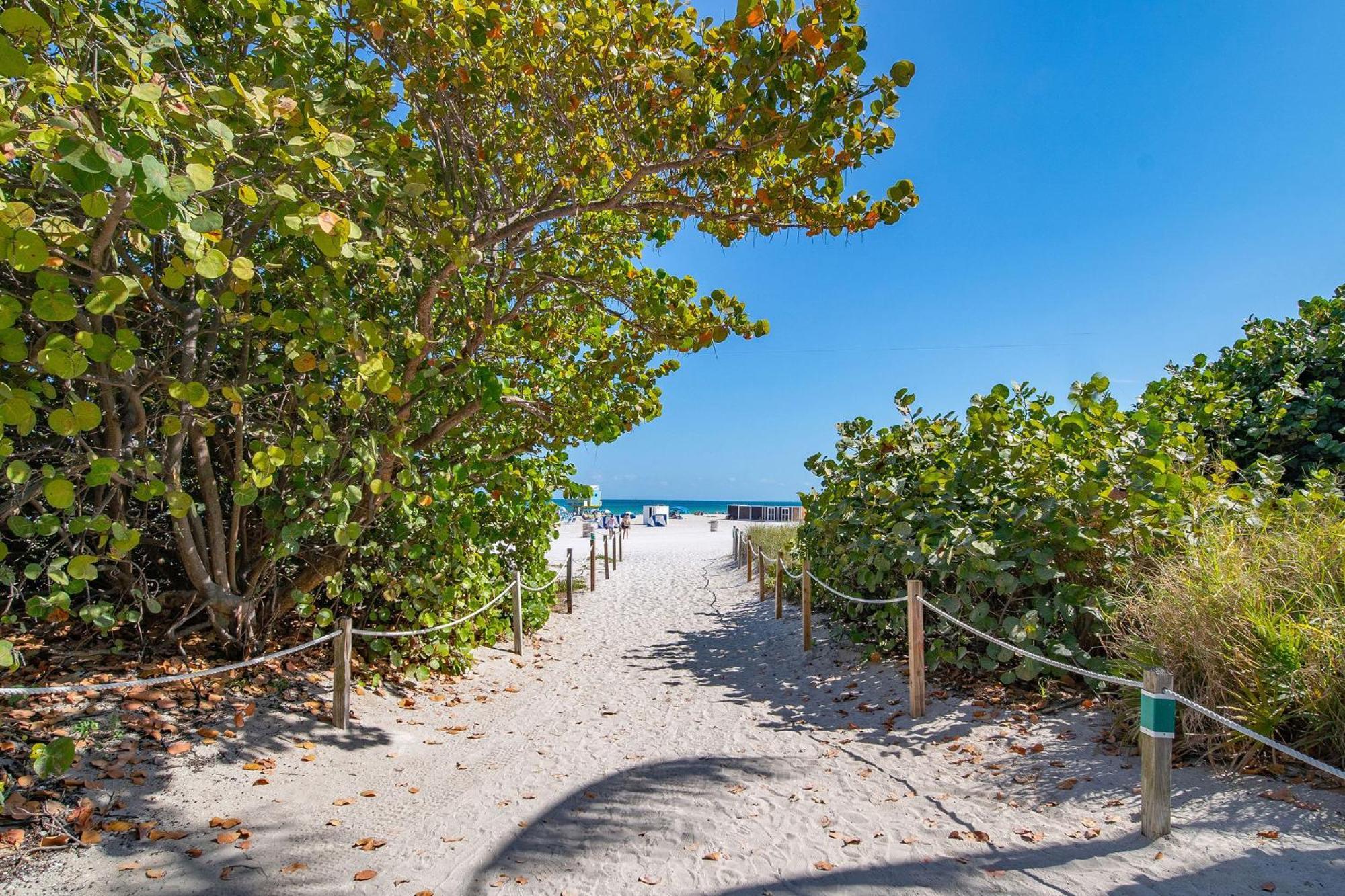 Charming Large Studio Near Ocean Dr - South Beach Miami Beach Zewnętrze zdjęcie