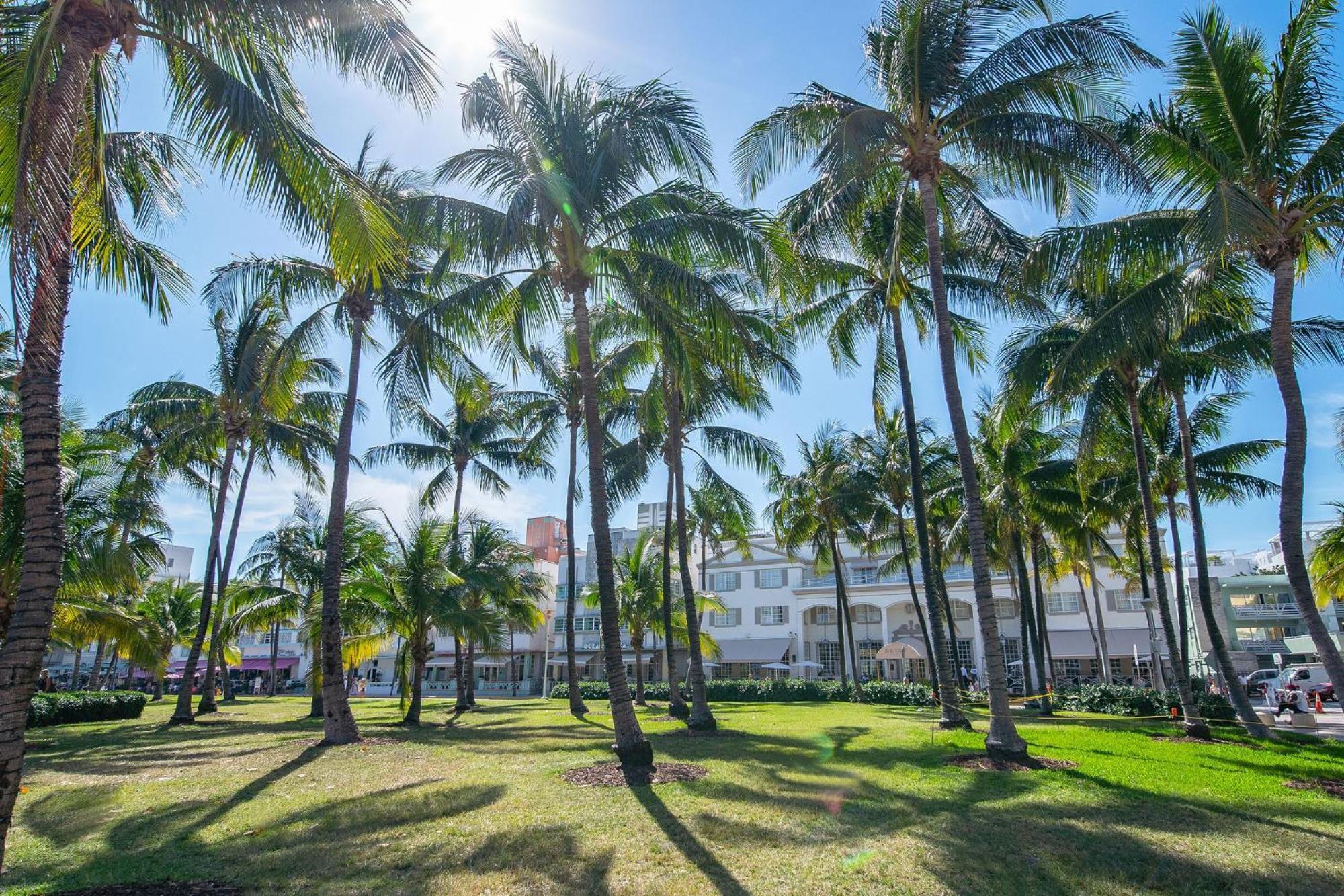 Charming Large Studio Near Ocean Dr - South Beach Miami Beach Zewnętrze zdjęcie